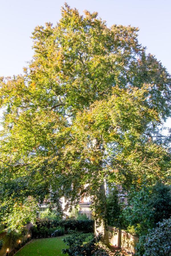 The Old Beech Panzió Antwerpen Kültér fotó